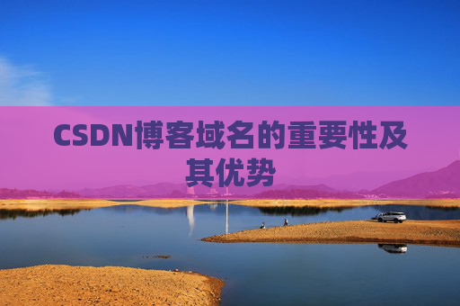 CSDN博客域名的重要性及其优势